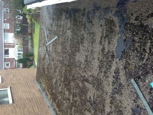 rubbercovergrp1before