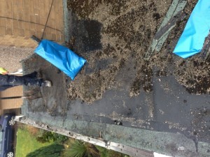 rubbercovergrpbefore