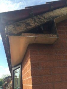 rosewood fascia cream soffits 07 07